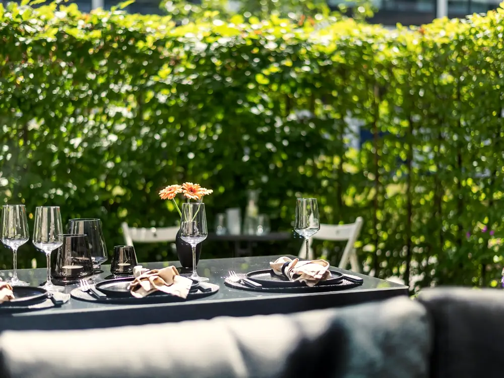 A long table laid for a meal outdoors