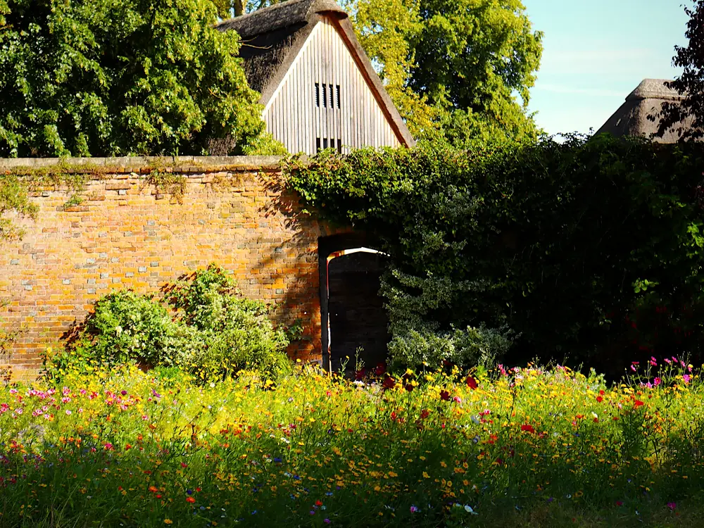 Deep summer borders against an old brick wall